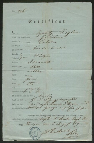 Certificat d'état civil au nom d'Ignatz Zigler, daté du 5 août 1859