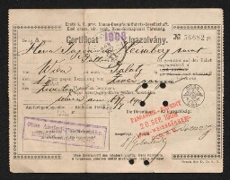 Certificat Igazolvany au nom de Hava Jugenivi Heimberg, daté du 20 septembre 1908